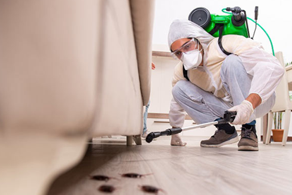 General Pest Control