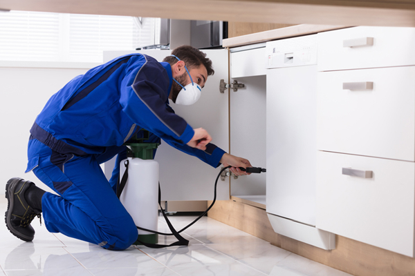 Residential Pest Control